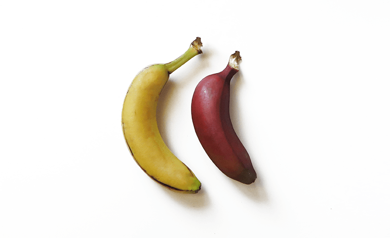 Red and Yellow Banana Logo - Why You Should Eat Red Bananas Instead of Yellow