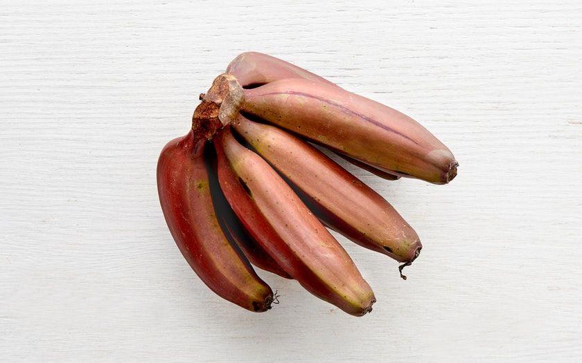 Red and Yellow Banana Logo - Organic Red Bananas (Mexico) - Organics Unlimited - SF Bay | Good ...