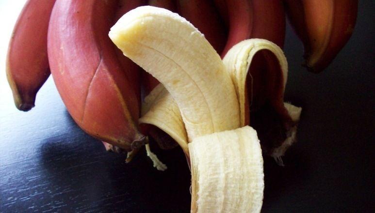 Red and Yellow Banana Logo - 13 Amazing Health Benefits Of Red Banana (Better Than Yellow Banana!)