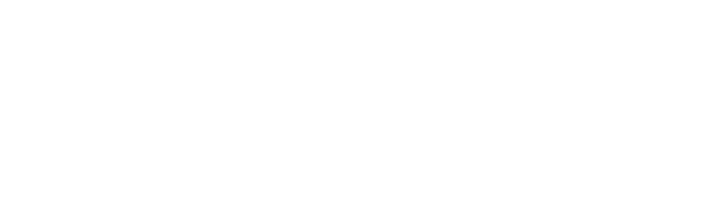 Black and White Corporate Logo - Corporate visual identity. UPV Politècnica de València