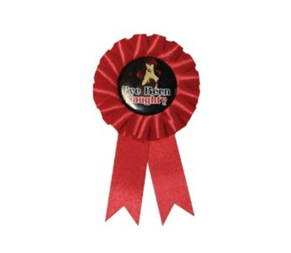 Red Prize Ribbon Logo - Good Girl Bad Girl Award Ribbon Pack Of 3 | HenStuff