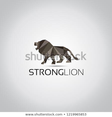 Lion Triangle Logo - Lion Strong Triangle Logo | World Graphic Groupboard | Pinterest ...
