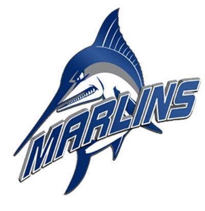 Virginia Wesleyan College Logo - Mary Washington pounds Virginia Wesleyan in men's soccer | College ...