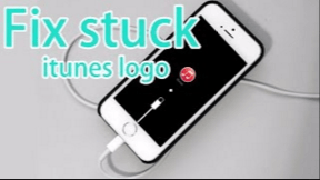 iPhone 5S Logo - iPhone 5s Stuck in Red iTunes Logo When Put Into Recovery Mode: How