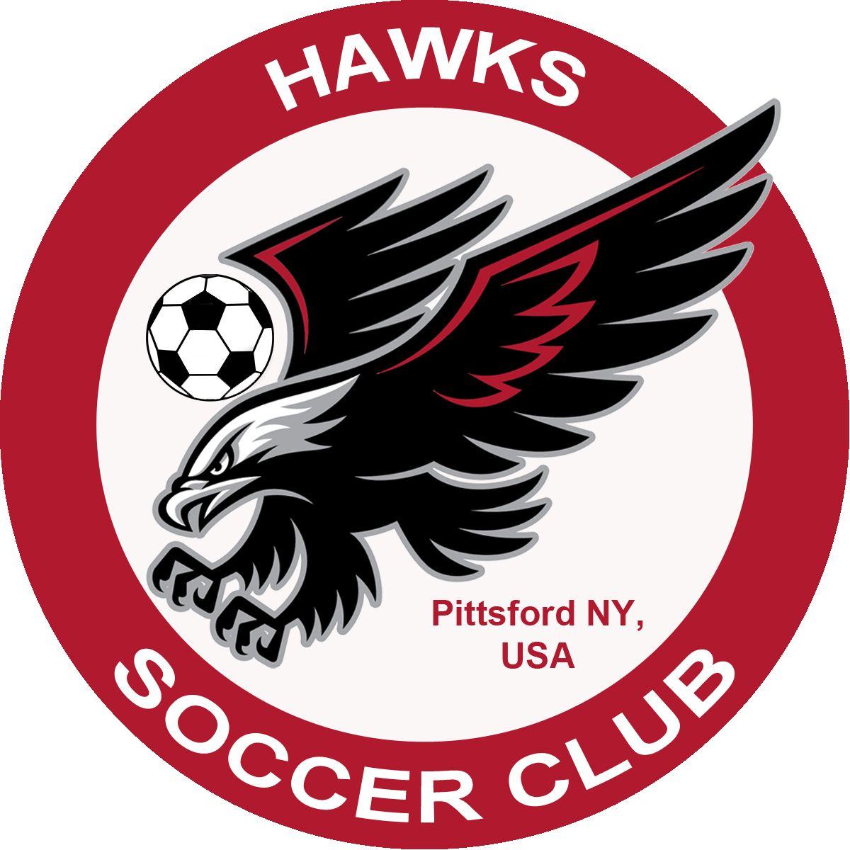 Hawks Soccer Logo - About Hawks Soccer Club