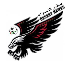 Hawks Soccer Logo - Desert Hawks Soccer Team