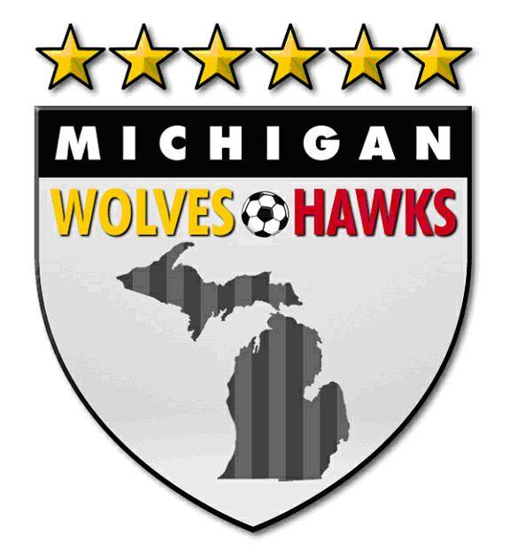 Hawks Soccer Logo - Michigan Hawks