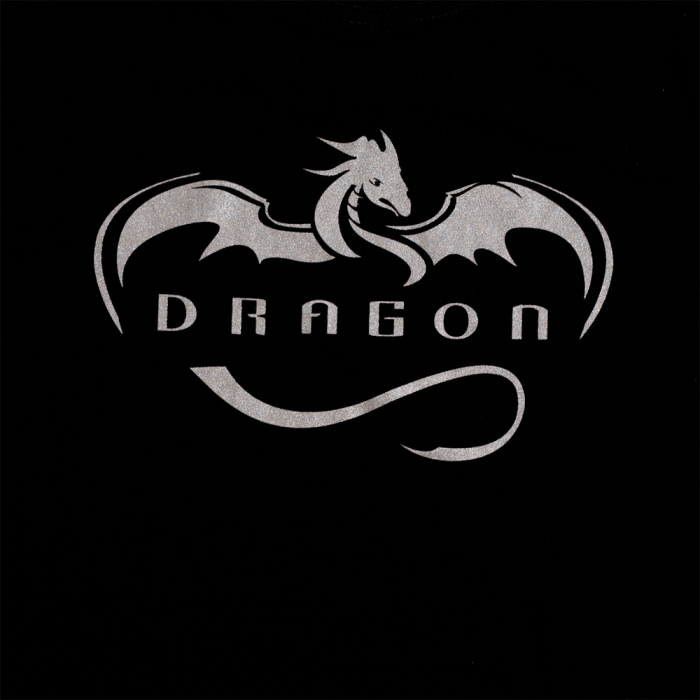 Space Dragon Logo - Spacex Logos