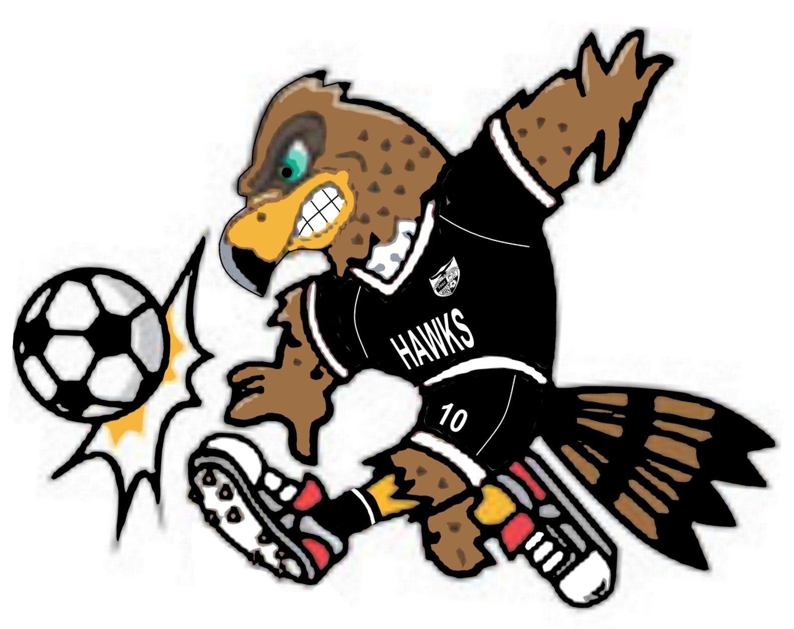 Hawks Soccer Logo - BELLINGHAM MIDDLE AND HIGH SCHOOL BOYS SOCCER