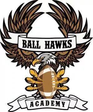 Ball Hawk Logo - William Neloms III MD DC VA Youth / High School