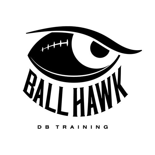 Ball Hawk Logo - Branding/ Identity Bird Media