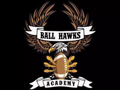 Ball Hawk Logo - Ball Hawks Academy (@ballhawks1) | Twitter