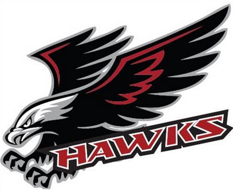 Ball Hawk Logo - MN10 Hawks Minor Ball Hockey Association : Website