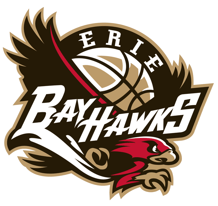 Ball Hawk Logo - Basketball logo banner black and white