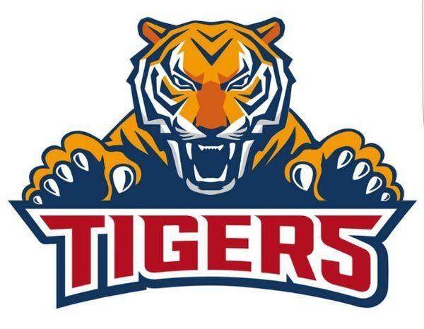 Yellow Tiger Logo - ₫əииy looks great. somethin about tiger logos