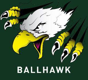 Ball Hawk Logo - Ballhawk T Shirts Shirt Design & Printing