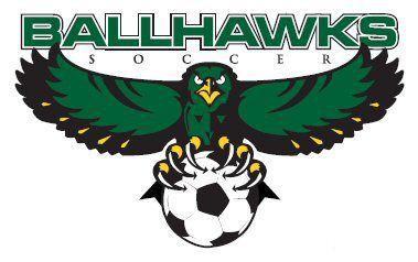 Ball Hawk Logo - Teams