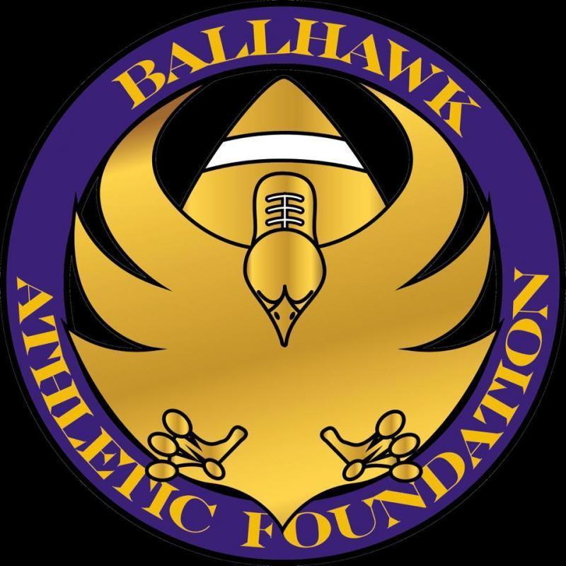 Ball Hawk Logo - Ballhawk Athletic Foundation Inc nonprofit in Norfolk, VA