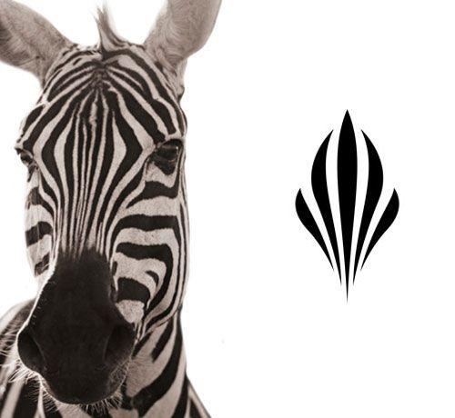 Zebra Logo - Zebra-inspired | Logo Design Love