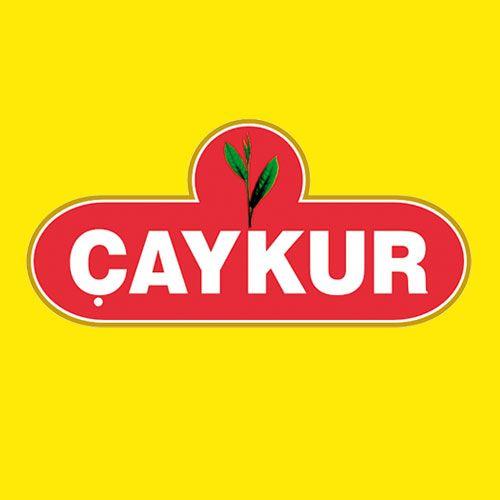Caykur Didi Logo - Caykur DiDi Iced Tea - Lemon