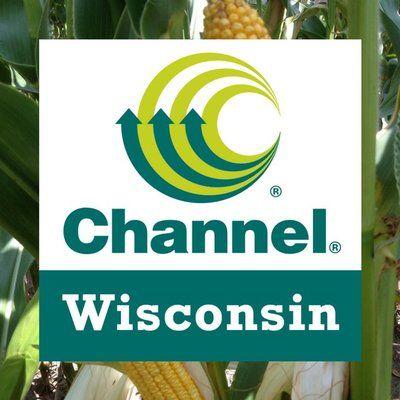 Channel Seed Logo - Channel Seed WI
