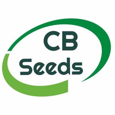 Channel Seed Logo - CB Seeds on Twitter: 