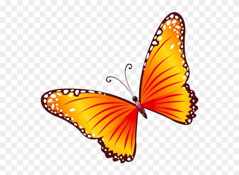 Orange and Yellow Butterfly Logo - Transparent Orange Butterfly Png Clipart - Red And Yellow Butterfly ...