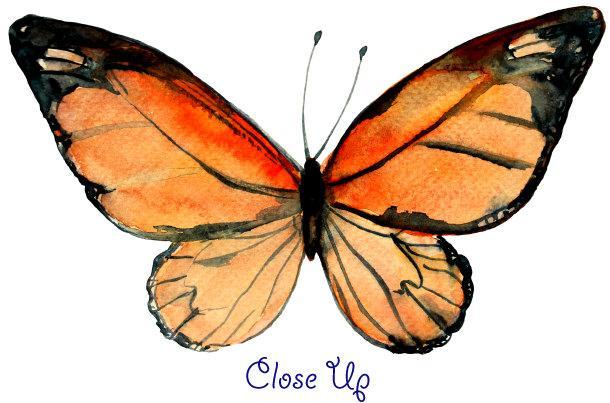 Orange and Yellow Butterfly Logo - Watercolor clipart butterflies orange, red, yellow, butterfly ...