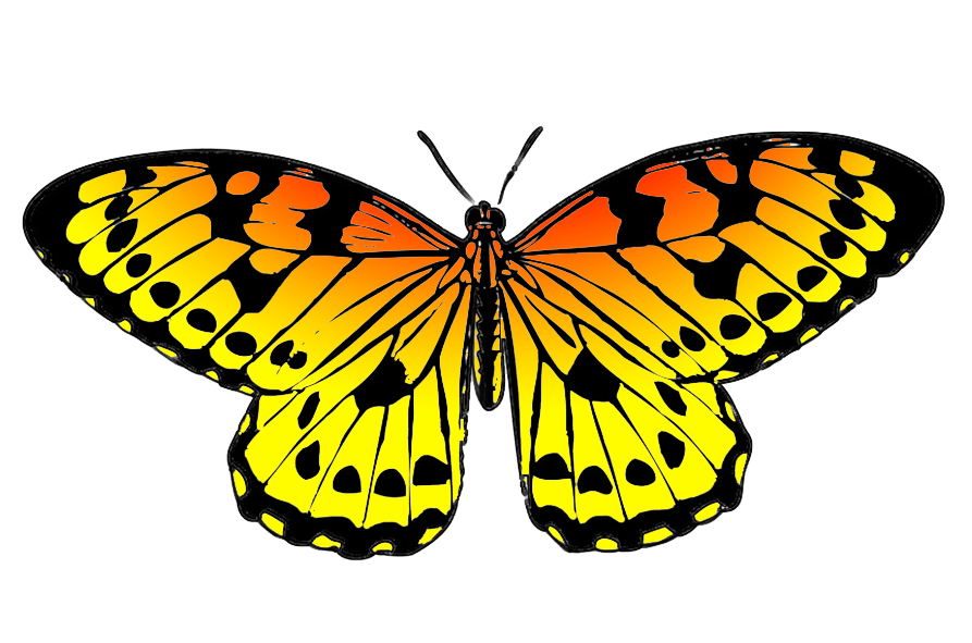 Orange and Yellow Butterfly Logo - Free Yellow Butterfly Clipart, Download Free Clip Art, Free Clip