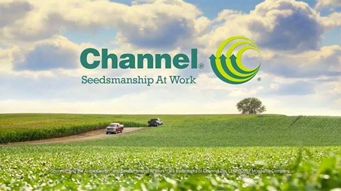 Channel Seed Logo - Corn Seed, Soybean Seed Crop Solutions, Mn