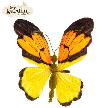 Orange and Yellow Butterfly Logo - Orange & Yellow Butterfly Clip