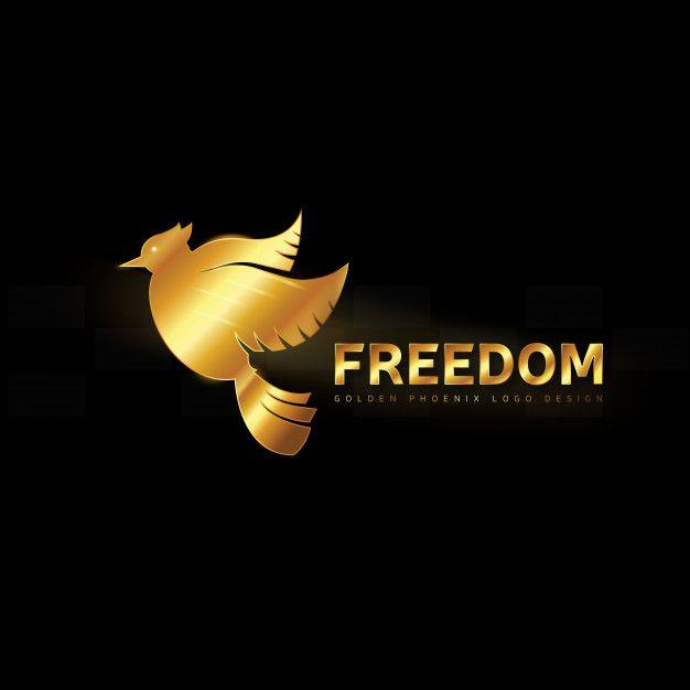 Gold Bird Logo - Realistic golden bird logo design with freedom text Vector. Premium
