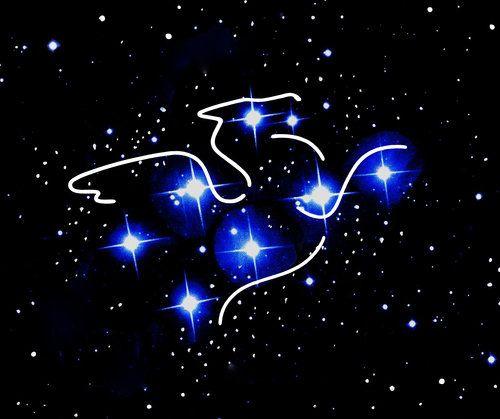 Pegasus with Star Logo - Why do I have the constellation Pegasus as my logo? — Pauline ...