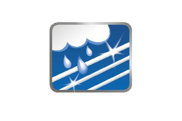 Pegasus with Star Logo - Details