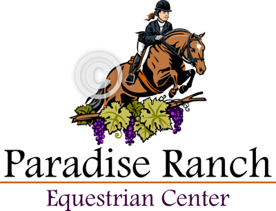 Equestrian Jumping Horse Logo - Custom Horse Logo Design with Jumping Horse Graphic