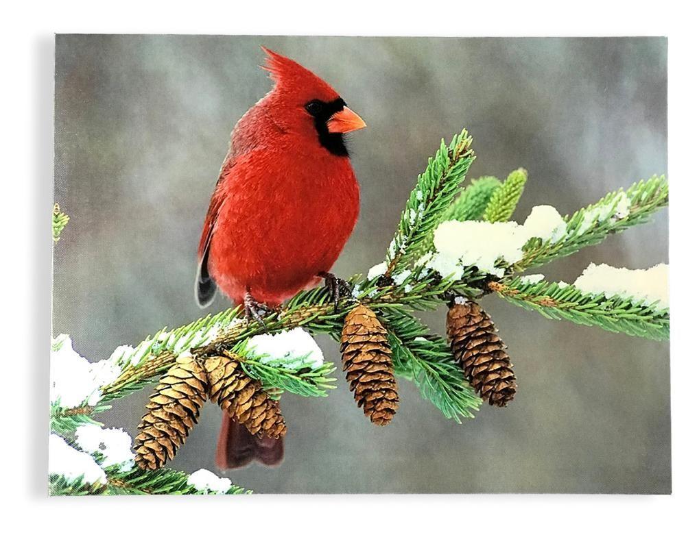 Red and Green with a Red Bird On It Logo - Winter Cardinal Print - LED Lighted Canvas Print - Red Cardinal Bird ...