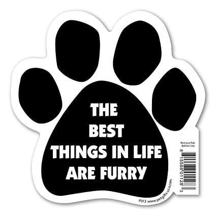 Furry Paw Logo - Amazon.com: The Best Things In Life Are Furry - Paw Magnet: Automotive