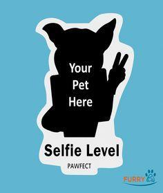 Furry Paw Logo - 152 Best Furry Paw Pics Gold Series Portraits images | Bespoke ...