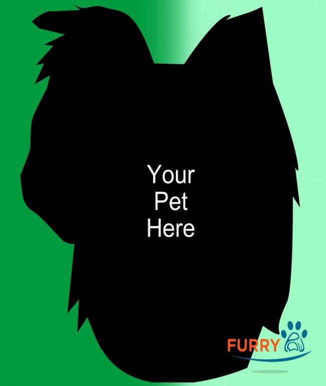 Furry Paw Logo - HEADSHOT PAW | SINGLE PET PORTRAIT | FURRY PAW PICS