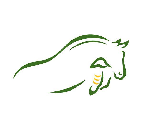 Equestrian Jumping Horse Logo - Logo design for a Dallas, Texas area equestrian barn that focuses on ...