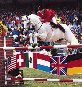 Equestrian Jumping Horse Logo - Show jumping