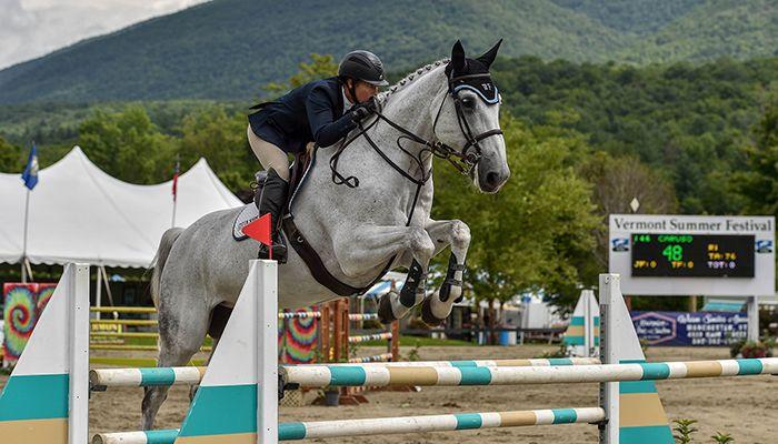 Equestrian Jumping Horse Logo - Vermont Summer Festival Horse Shows, Manchester, VT, hunter, jumper
