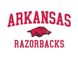 University of Arkansas Logo - University of Arkansas Blinds - Arkansas Razorbacks Roller Shades