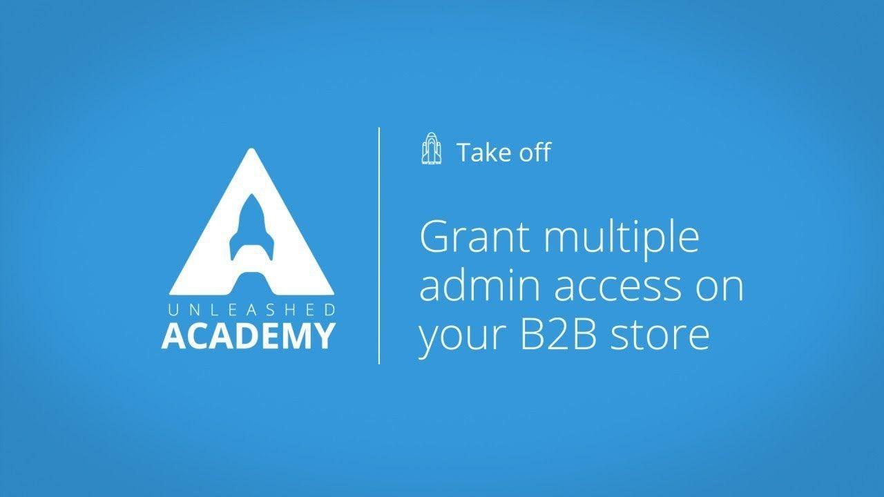 Multiple Triangle Blue Logo - Grant multiple admin access on your B2B store