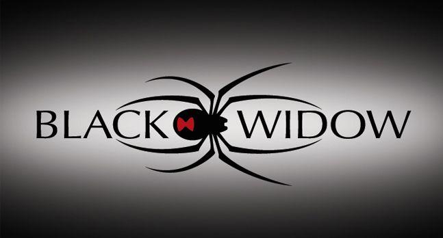 Black Widow Spider Logo - Black Widow New Logo | Free Images at Clker.com - vector clip art ...