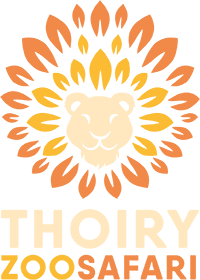 Safari Zoo Logo - Accueil | Zoo Safari de Thoiry