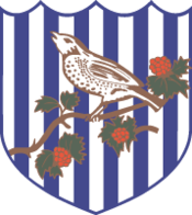 West Brom Logo - West Bromwich Albion | Logopedia | FANDOM powered by Wikia