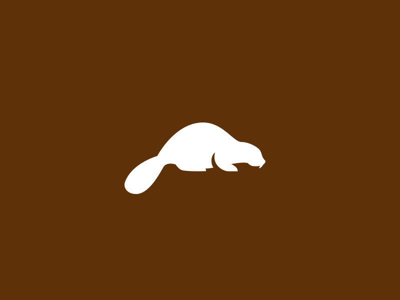 Beaver Logo - Beaver logo by Damian Patkowski | Dribbble | Dribbble