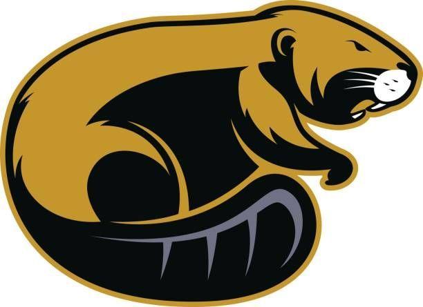 Beaver Logo - angry beaver | Beavers Logos | Beaver logo, Habitats, Wildlife