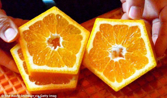 Pentagon-Shaped Logo - Japanese farmers create pentagon-shaped oranges | Daily Mail Online